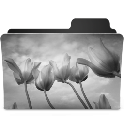 Tulips Black & White Icon 256x256 png